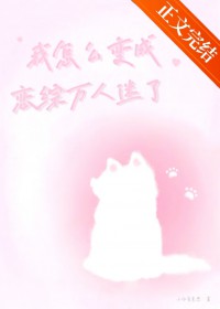 ����ô���������������